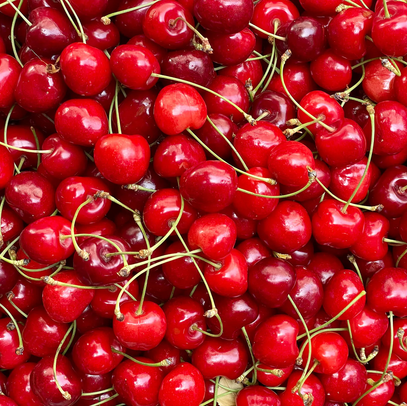 1:1 Gummies 10 Pack - Image 2