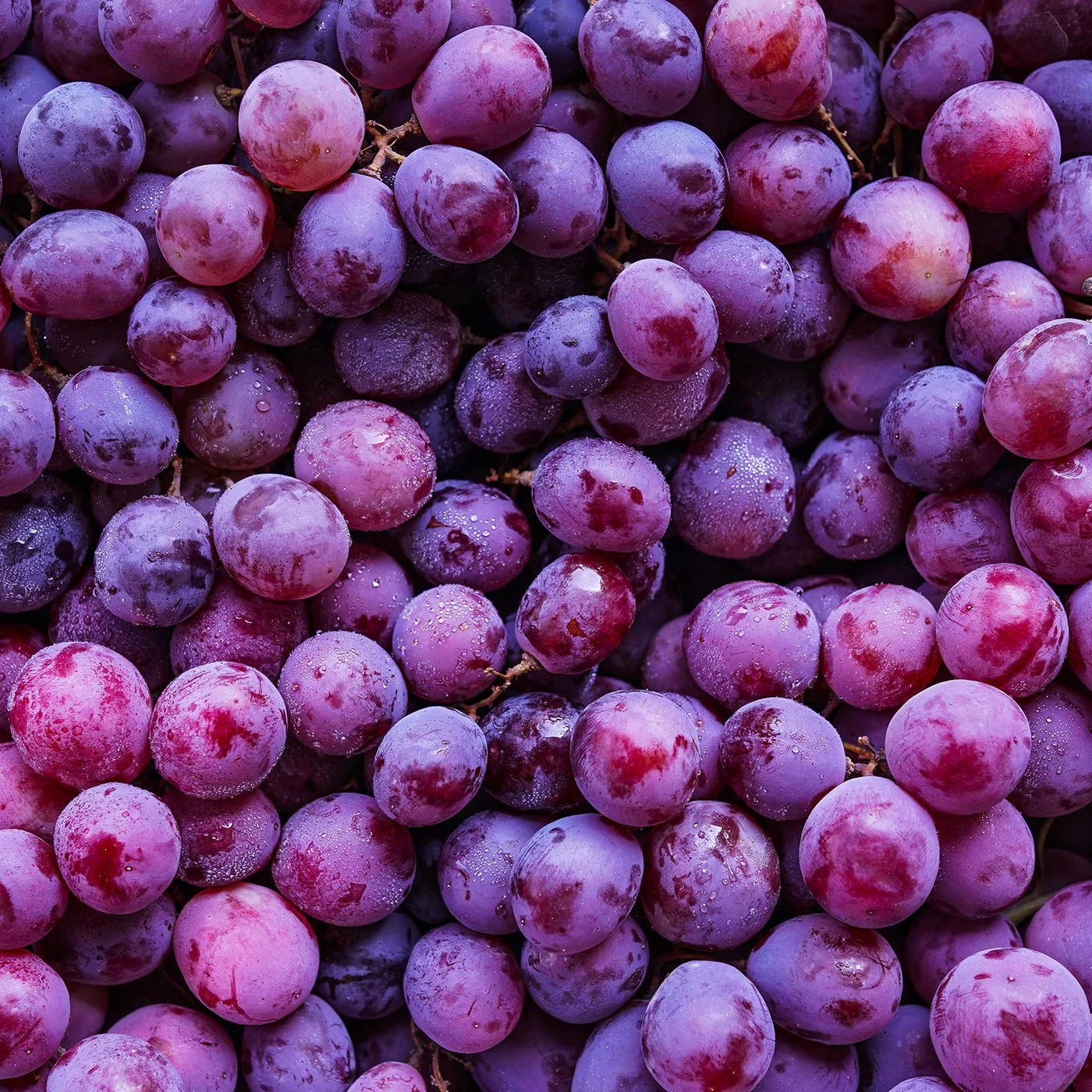 NiteNite 25 Pack - Image 2